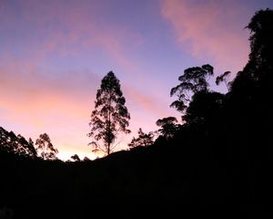 Preview wallpaper tree, silhouette, lake, sunset, reflection