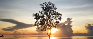Preview wallpaper tree, silhouette, lake, coast, sunset