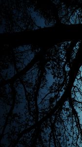 Preview wallpaper tree, silhouette, leaves, branches, dark, night