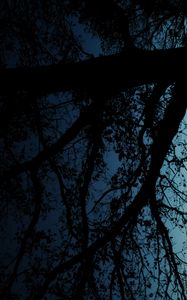 Preview wallpaper tree, silhouette, leaves, branches, dark, night