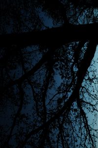 Preview wallpaper tree, silhouette, leaves, branches, dark, night