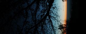 Preview wallpaper tree, silhouette, leaves, branches, dark, night