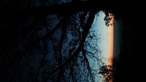 Preview wallpaper tree, silhouette, leaves, branches, dark, night