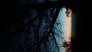 Preview wallpaper tree, silhouette, leaves, branches, dark, night