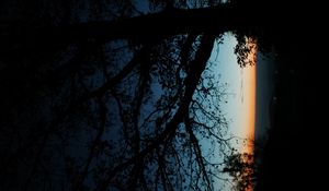 Preview wallpaper tree, silhouette, leaves, branches, dark, night