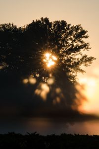 Preview wallpaper tree, silhouette, light, rays, sunset, dark