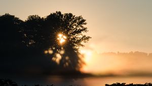 Preview wallpaper tree, silhouette, light, rays, sunset, dark