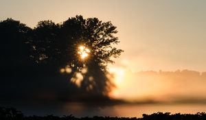 Preview wallpaper tree, silhouette, light, rays, sunset, dark