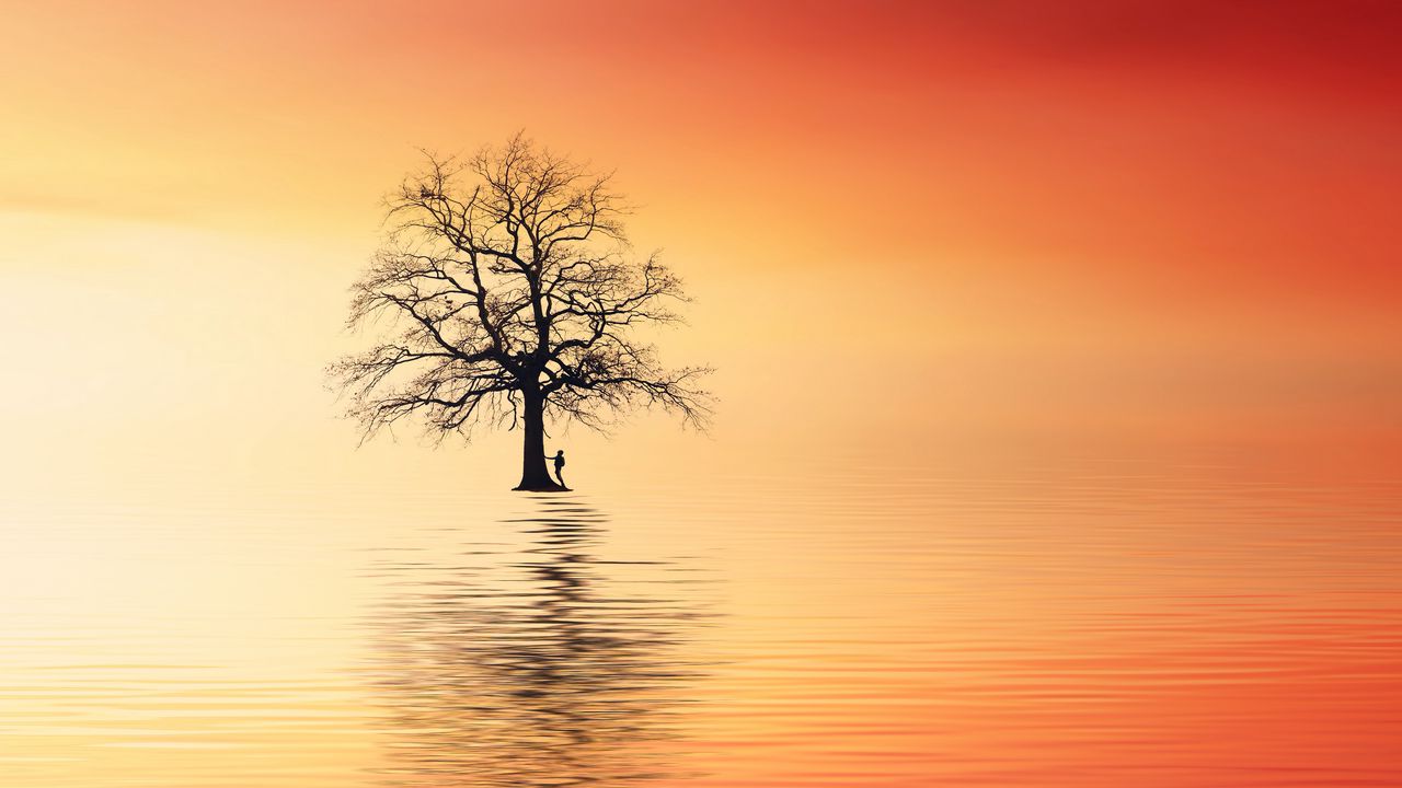 Wallpaper tree, silhouette, lonely, sea, reflection