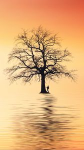 Preview wallpaper tree, silhouette, lonely, sea, reflection