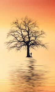 Preview wallpaper tree, silhouette, lonely, sea, reflection
