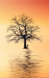 Preview wallpaper tree, silhouette, lonely, sea, reflection