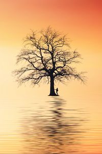 Preview wallpaper tree, silhouette, lonely, sea, reflection