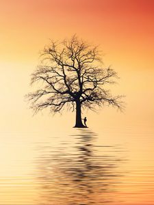 Preview wallpaper tree, silhouette, lonely, sea, reflection