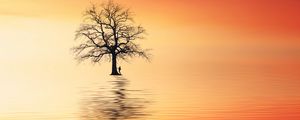 Preview wallpaper tree, silhouette, lonely, sea, reflection