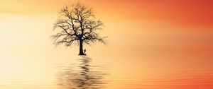 Preview wallpaper tree, silhouette, lonely, sea, reflection