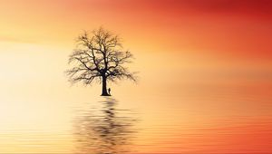 Preview wallpaper tree, silhouette, lonely, sea, reflection