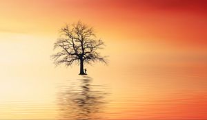 Preview wallpaper tree, silhouette, lonely, sea, reflection