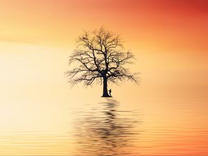 Preview wallpaper tree, silhouette, lonely, sea, reflection