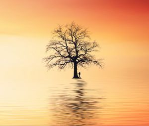 Preview wallpaper tree, silhouette, lonely, sea, reflection