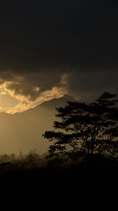 Preview wallpaper tree, silhouette, mountains, twilight, dark
