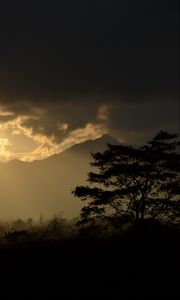 Preview wallpaper tree, silhouette, mountains, twilight, dark