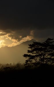 Preview wallpaper tree, silhouette, mountains, twilight, dark