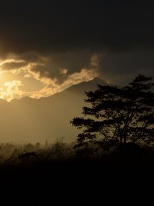 Preview wallpaper tree, silhouette, mountains, twilight, dark