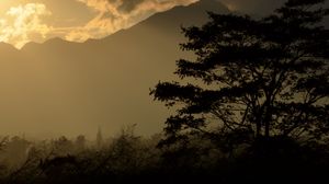 Preview wallpaper tree, silhouette, mountains, twilight, dark