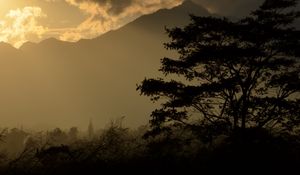 Preview wallpaper tree, silhouette, mountains, twilight, dark