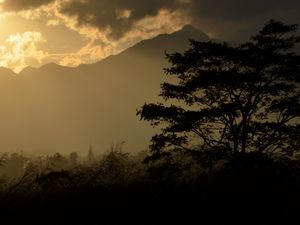 Preview wallpaper tree, silhouette, mountains, twilight, dark