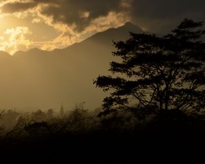 Preview wallpaper tree, silhouette, mountains, twilight, dark