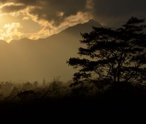 Preview wallpaper tree, silhouette, mountains, twilight, dark