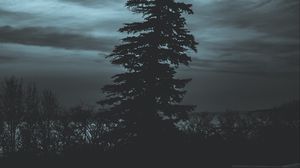 Preview wallpaper tree, silhouette, night, sky, dark