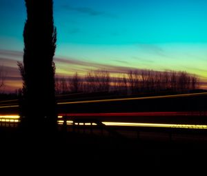 Preview wallpaper tree, silhouette, night, sky, long exposure