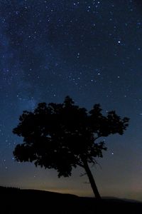 Preview wallpaper tree, silhouette, night, stars, starry sky
