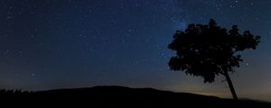 Preview wallpaper tree, silhouette, night, stars, starry sky