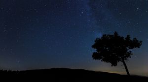 Preview wallpaper tree, silhouette, night, stars, starry sky