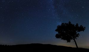 Preview wallpaper tree, silhouette, night, stars, starry sky