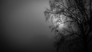 Preview wallpaper tree, silhouette, night, moon, bw