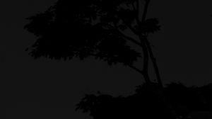 Preview wallpaper tree, silhouette, night, dark, black