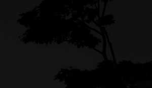 Preview wallpaper tree, silhouette, night, dark, black