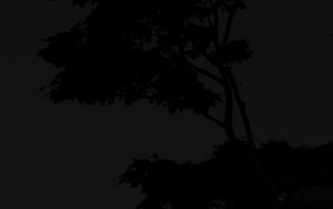 Preview wallpaper tree, silhouette, night, dark, black