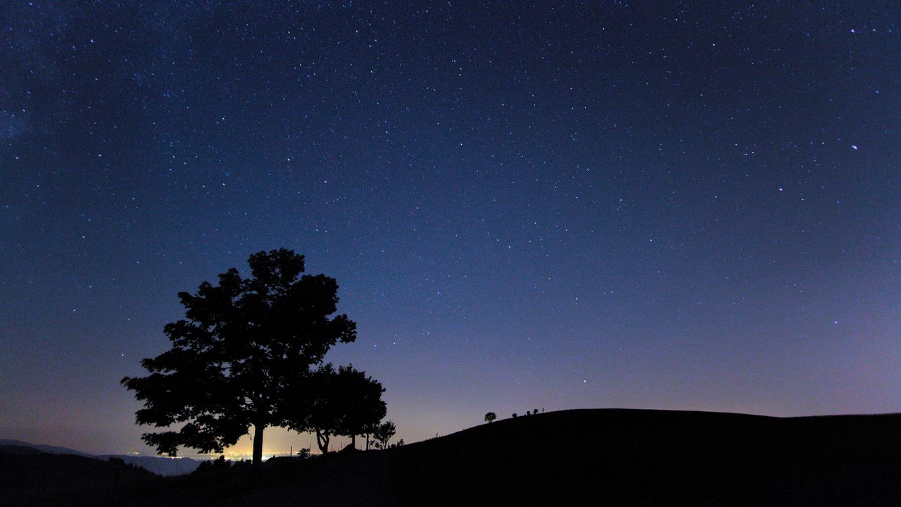 Wallpaper tree, silhouette, night, starry sky