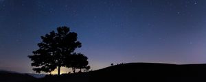 Preview wallpaper tree, silhouette, night, starry sky