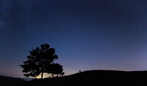 Preview wallpaper tree, silhouette, night, starry sky