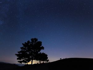Preview wallpaper tree, silhouette, night, starry sky