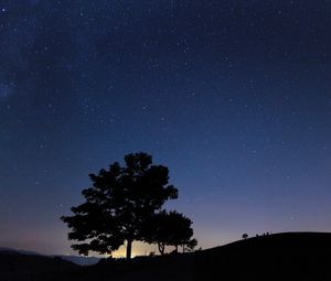 Preview wallpaper tree, silhouette, night, starry sky