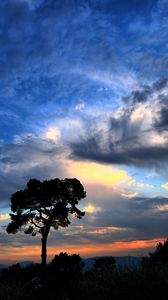 Preview wallpaper tree, silhouette, outlines, clouds, sky