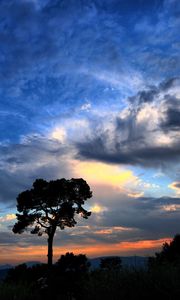 Preview wallpaper tree, silhouette, outlines, clouds, sky